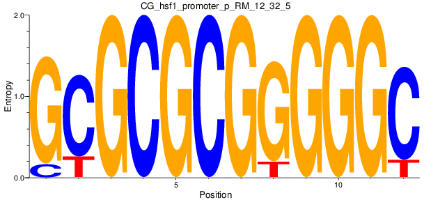 CG_hsf1_promoter_p_RM_12_32_5