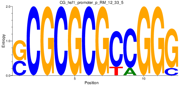CG_hsf1_promoter_p_RM_12_33_5