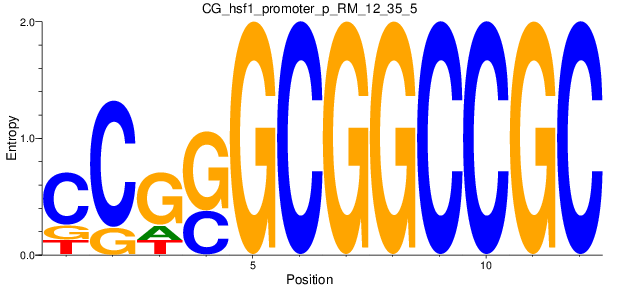 CG_hsf1_promoter_p_RM_12_35_5