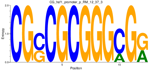 CG_hsf1_promoter_p_RM_12_37_3