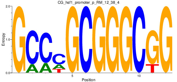 CG_hsf1_promoter_p_RM_12_38_4