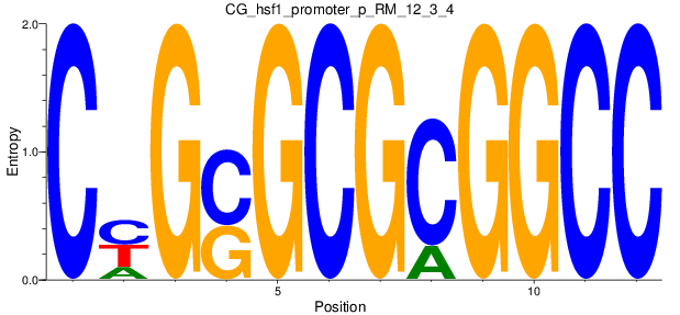 CG_hsf1_promoter_p_RM_12_3_4