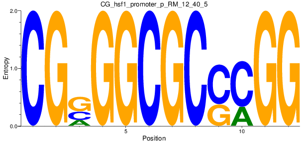 CG_hsf1_promoter_p_RM_12_40_5