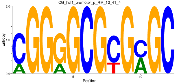CG_hsf1_promoter_p_RM_12_41_4