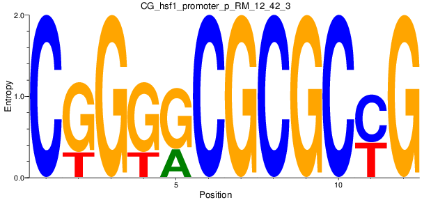 CG_hsf1_promoter_p_RM_12_42_3