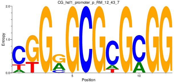 CG_hsf1_promoter_p_RM_12_43_7