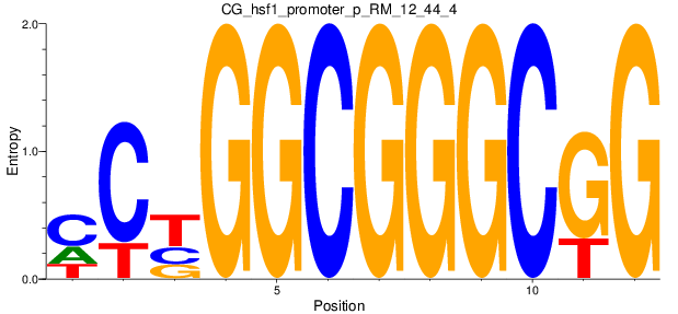 CG_hsf1_promoter_p_RM_12_44_4