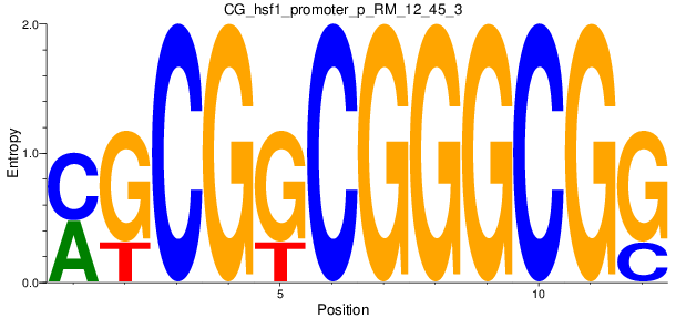CG_hsf1_promoter_p_RM_12_45_3