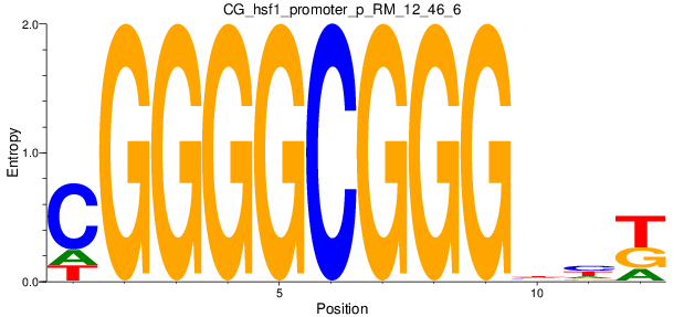 CG_hsf1_promoter_p_RM_12_46_6