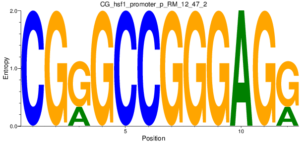 CG_hsf1_promoter_p_RM_12_47_2