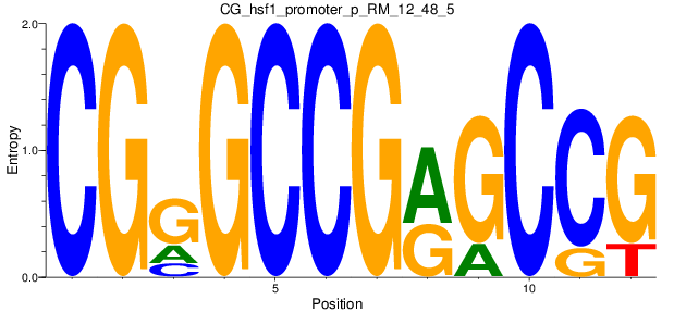 CG_hsf1_promoter_p_RM_12_48_5