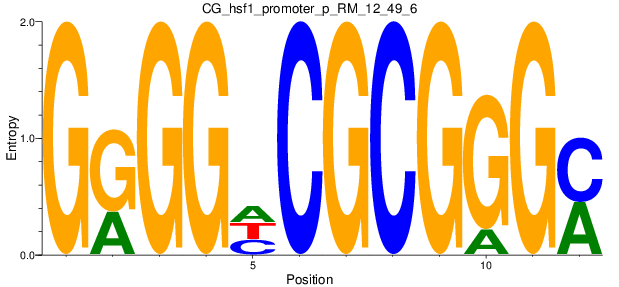 CG_hsf1_promoter_p_RM_12_49_6