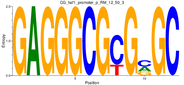 CG_hsf1_promoter_p_RM_12_50_3