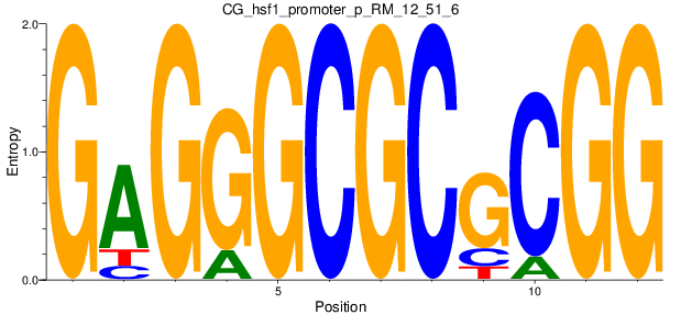 CG_hsf1_promoter_p_RM_12_51_6