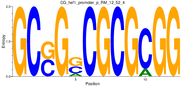 CG_hsf1_promoter_p_RM_12_52_4