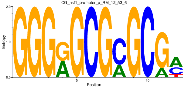 CG_hsf1_promoter_p_RM_12_53_6