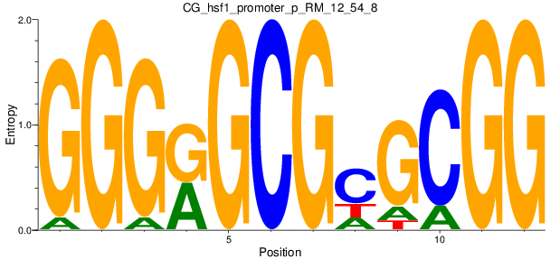 CG_hsf1_promoter_p_RM_12_54_8
