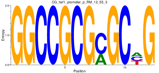 CG_hsf1_promoter_p_RM_12_55_3