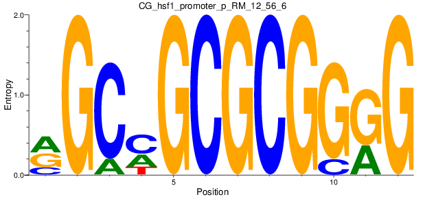 CG_hsf1_promoter_p_RM_12_56_6
