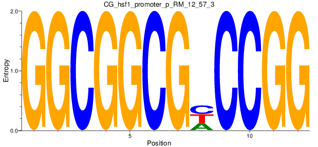 CG_hsf1_promoter_p_RM_12_57_3