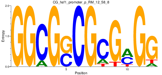 CG_hsf1_promoter_p_RM_12_58_8