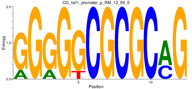 CG_hsf1_promoter_p_RM_12_59_5