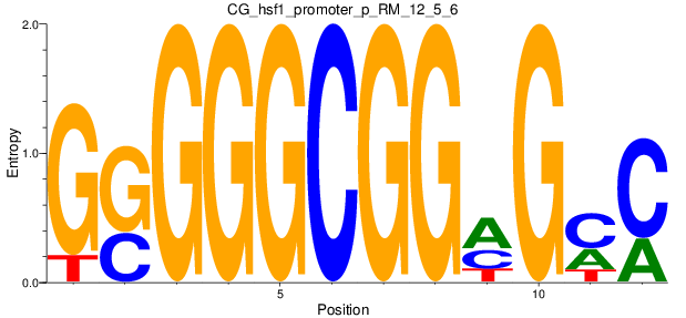 CG_hsf1_promoter_p_RM_12_5_6