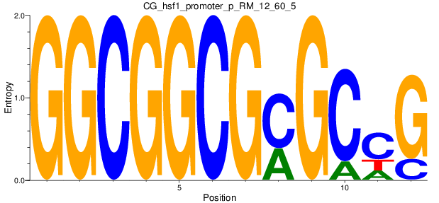 CG_hsf1_promoter_p_RM_12_60_5
