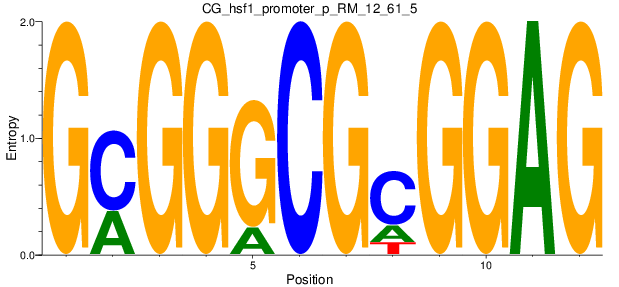 CG_hsf1_promoter_p_RM_12_61_5