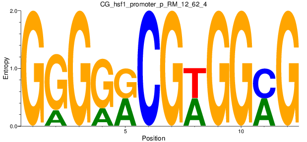 CG_hsf1_promoter_p_RM_12_62_4
