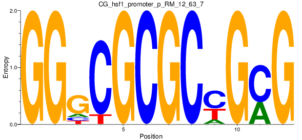CG_hsf1_promoter_p_RM_12_63_7
