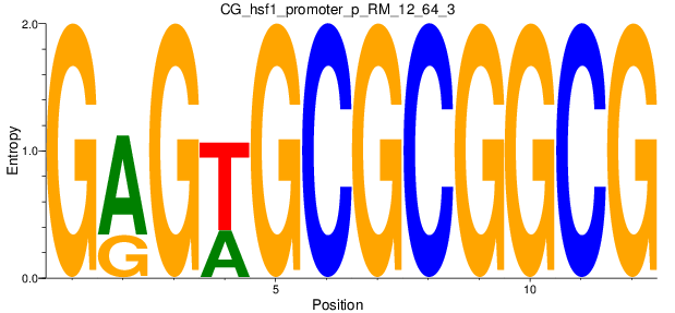 CG_hsf1_promoter_p_RM_12_64_3