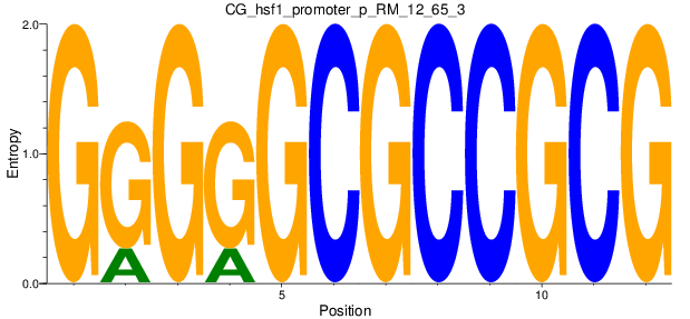 CG_hsf1_promoter_p_RM_12_65_3