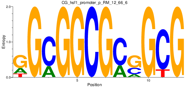 CG_hsf1_promoter_p_RM_12_66_6