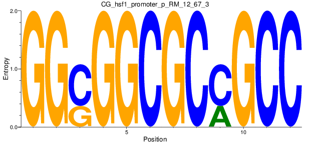 CG_hsf1_promoter_p_RM_12_67_3