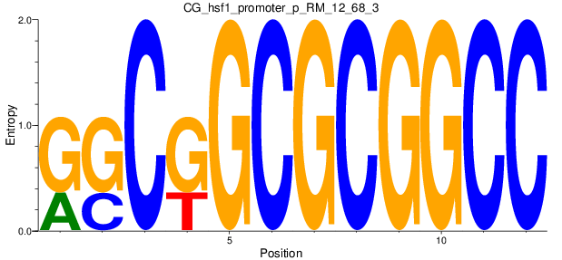 CG_hsf1_promoter_p_RM_12_68_3