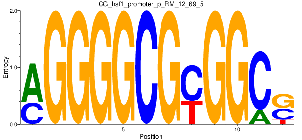 CG_hsf1_promoter_p_RM_12_69_5