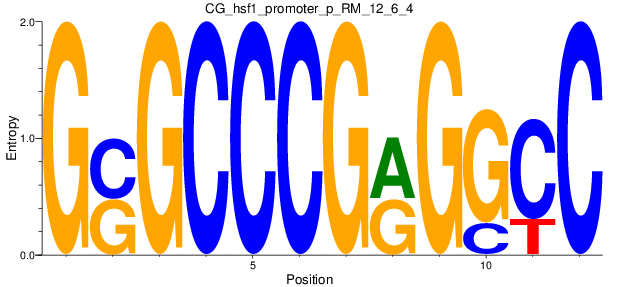 CG_hsf1_promoter_p_RM_12_6_4
