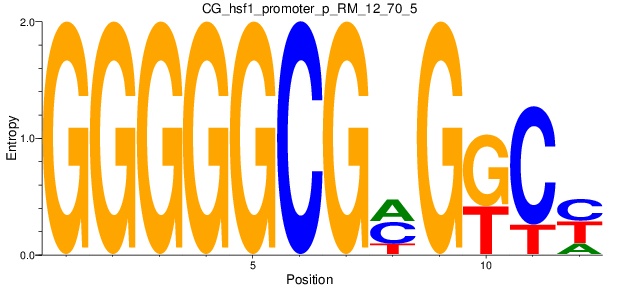 CG_hsf1_promoter_p_RM_12_70_5