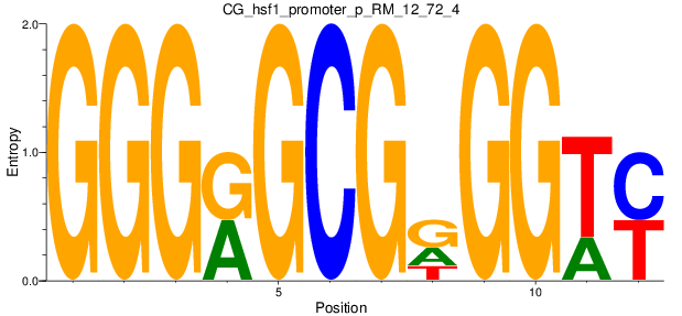 CG_hsf1_promoter_p_RM_12_72_4