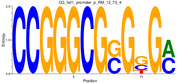 CG_hsf1_promoter_p_RM_12_73_4