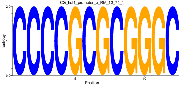 CG_hsf1_promoter_p_RM_12_74_1