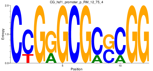 CG_hsf1_promoter_p_RM_12_75_4