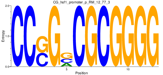 CG_hsf1_promoter_p_RM_12_77_3