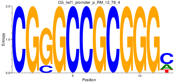 CG_hsf1_promoter_p_RM_12_78_4