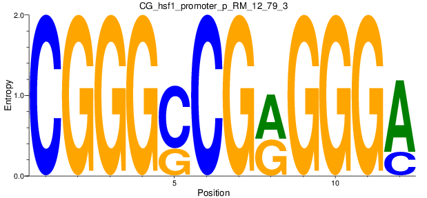 CG_hsf1_promoter_p_RM_12_79_3