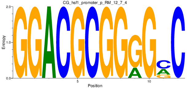 CG_hsf1_promoter_p_RM_12_7_4