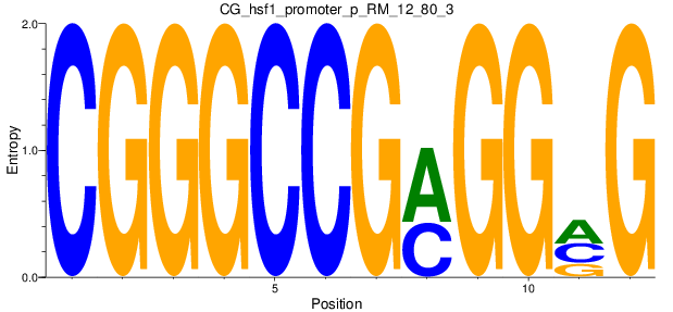 CG_hsf1_promoter_p_RM_12_80_3