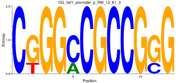 CG_hsf1_promoter_p_RM_12_81_3