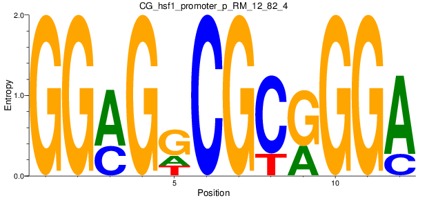 CG_hsf1_promoter_p_RM_12_82_4